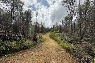 113007 Pikake St, Mountain View, HI 96771 - Photo 19