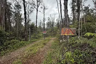 113007 Pikake St, Mountain View, HI 96771 - Photo 17