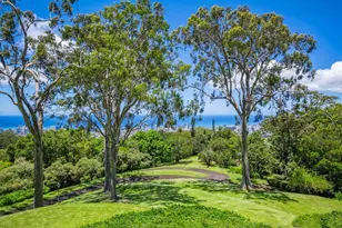 3330 Tantalus Dr, Honolulu, HI 96822 - Photo 3