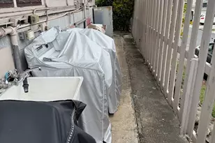 1503 Emerson St, Honolulu, HI 96813 - Photo 9