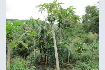 94-1100 Kunia Road #42F, Waipahu, HI 96797 - Photo 19