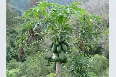 94-1100 Kunia Road #42F, Waipahu, HI 96797 - Photo 17