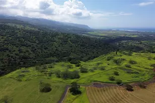 65-283 Kaukonahua Rd, Waialua, HI 96791 - Photo 3