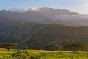 65-283 Kaukonahua Rd, Waialua, HI 96791 - Photo 1