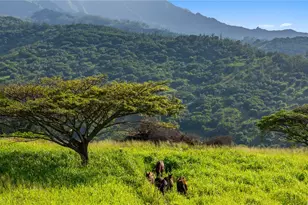 65-283 Kaukonahua Rd, Waialua, HI 96791 - Photo 13
