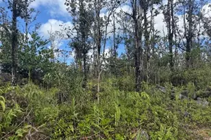 16-2039 Pukalani Dr, Pahoa, HI 96778 - Photo 15