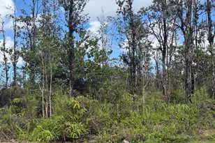 16-2039 Pukalani Dr, Pahoa, HI 96778 - Photo 13