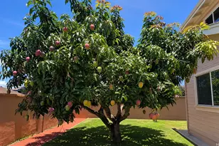 92-1419 Kuamu St, Kapolei, HI 96707 - Photo 23