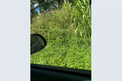 0000 37th Avenue, Keaau, HI 96749 - Photo 3