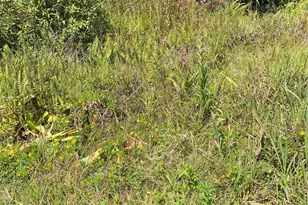 0000 37th Ave, Keaau, HI 96749 - Photo 1
