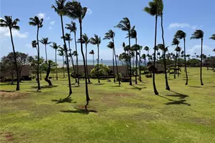 255 Kepuhi Pl, Maunaloa, HI 96770 - Photo 5