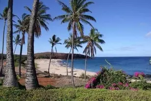 255 Kepuhi Pl, Maunaloa, HI 96770 - Photo 7