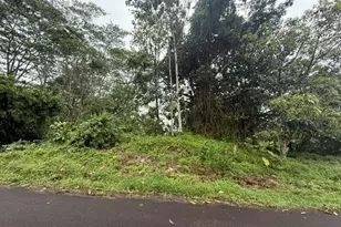 15-716 S Puni Mauka Loop, Pahoa, HI 96778 - Photo 9