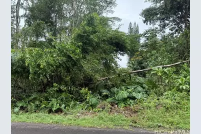 15-716 S Puni Mauka Loop, Pahoa, HI 96778 - Photo 3