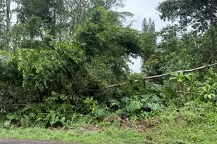 15-716 S Puni Mauka Loop, Pahoa, HI 96778 - Photo 3