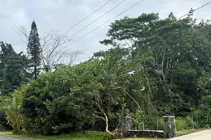 15-611 Beach Rd, Keaau, HI 96749 - Photo 1