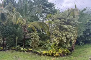 151611 Beach Rd, Keaau, HI 96749 - Photo 5