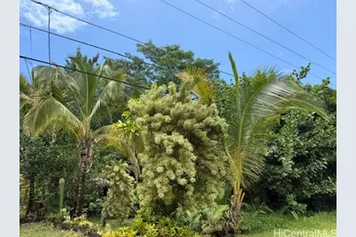 15-611 Beach Road, Keaau, HI 96749 - Photo 9
