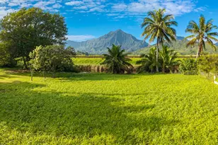 221 Kihapai St, Kailua, HI 96734 - Photo 21
