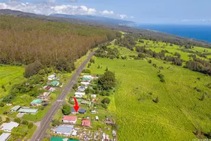46-4162 Honokaa-Waipio Rd, Honokaa, HI 96727 - Photo 3