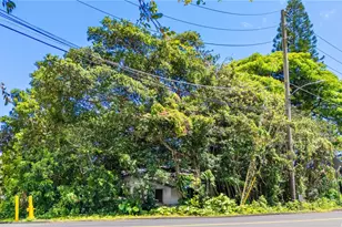 643 N Judd St, Honolulu, HI 96817 - Photo 5