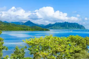 46-81 Konohiki St, Kaneohe, HI 96744 - Photo 19