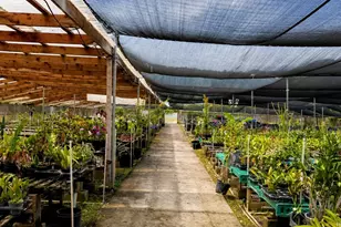 86-116 Puhawai Rd, Waianae, HI 96792 - Photo 21