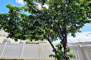 84-737 Manuku St, Waianae, HI 96792 - Photo 5