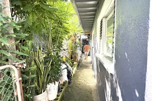 1918 Hanu Ln, Honolulu, HI 96819 - Photo 5