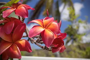 6977 Niumalu Loop, Honolulu, HI 96825 - Photo 19