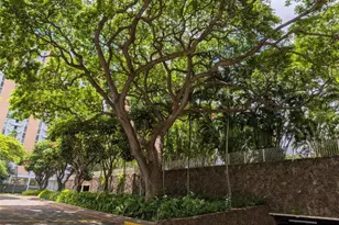 1511 Nuuanu Ave, Honolulu, HI 96817 - Photo 17