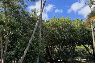 59-059 Hoalua St, Haleiwa, HI 96712 - Photo 5