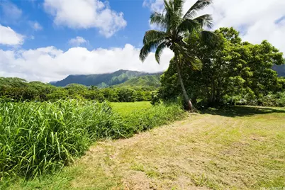47-318 Waihee Road, Kaneohe, HI 96744 - Photo 15