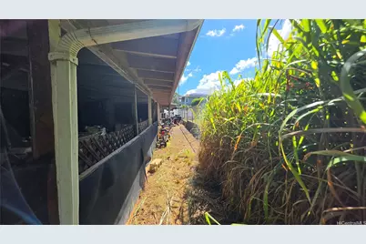 4 Auhili Place, Wahiawa, HI 96786 - Photo 7