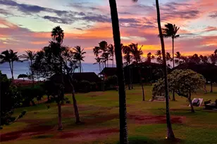 255 Kepuhi Pl, Maunaloa, HI 96770 - Photo 9