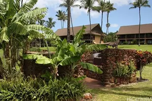 255 Kepuhi Pl, Maunaloa, HI 96770 - Photo 19