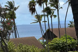 255 Kepuhi Pl, Maunaloa, HI 96770 - Photo 13