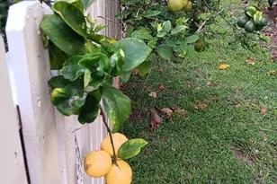 34 Waiaka Ln, Wailuku, HI 96793 - Photo 23