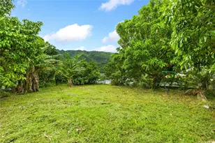 3371 Oahu Ave, Honolulu, HI 96822 - Photo 19