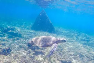 68-090 Au St, Waialua, HI 96791 - Photo 19