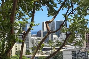 965 Prospect St, Honolulu, HI 96822 - Photo 5