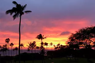 255 Kepuhi Pl, Maunaloa, HI 96770 - Photo 3