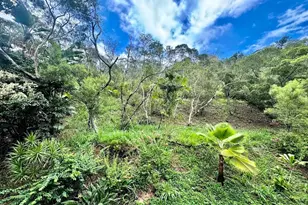 98-621 Kilinoe St, Aiea, HI 96701 - Photo 13
