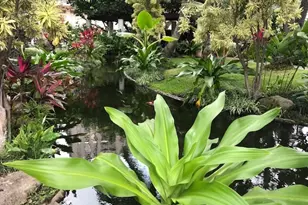 300 Wai Nani Way, Honolulu, HI 96815 - Photo 21