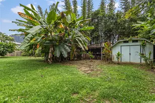 48-459 Kamehameha Hwy, Kaneohe, HI 96744 - Photo 17