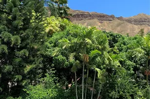 3061 Pualei Cir, Honolulu, HI 96815 - Photo 15