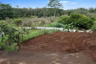 178 S Wilder Rd, Hilo, HI 96720 - Photo 9