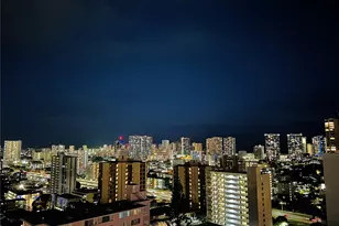 1441 Victoria St, Honolulu, HI 96822 - Photo 23