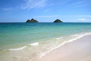 1320C Kamahele St, Kailua, HI 96734 - Photo 25
