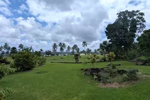445 Iwalani St, Hilo, HI 96720 - Photo 15